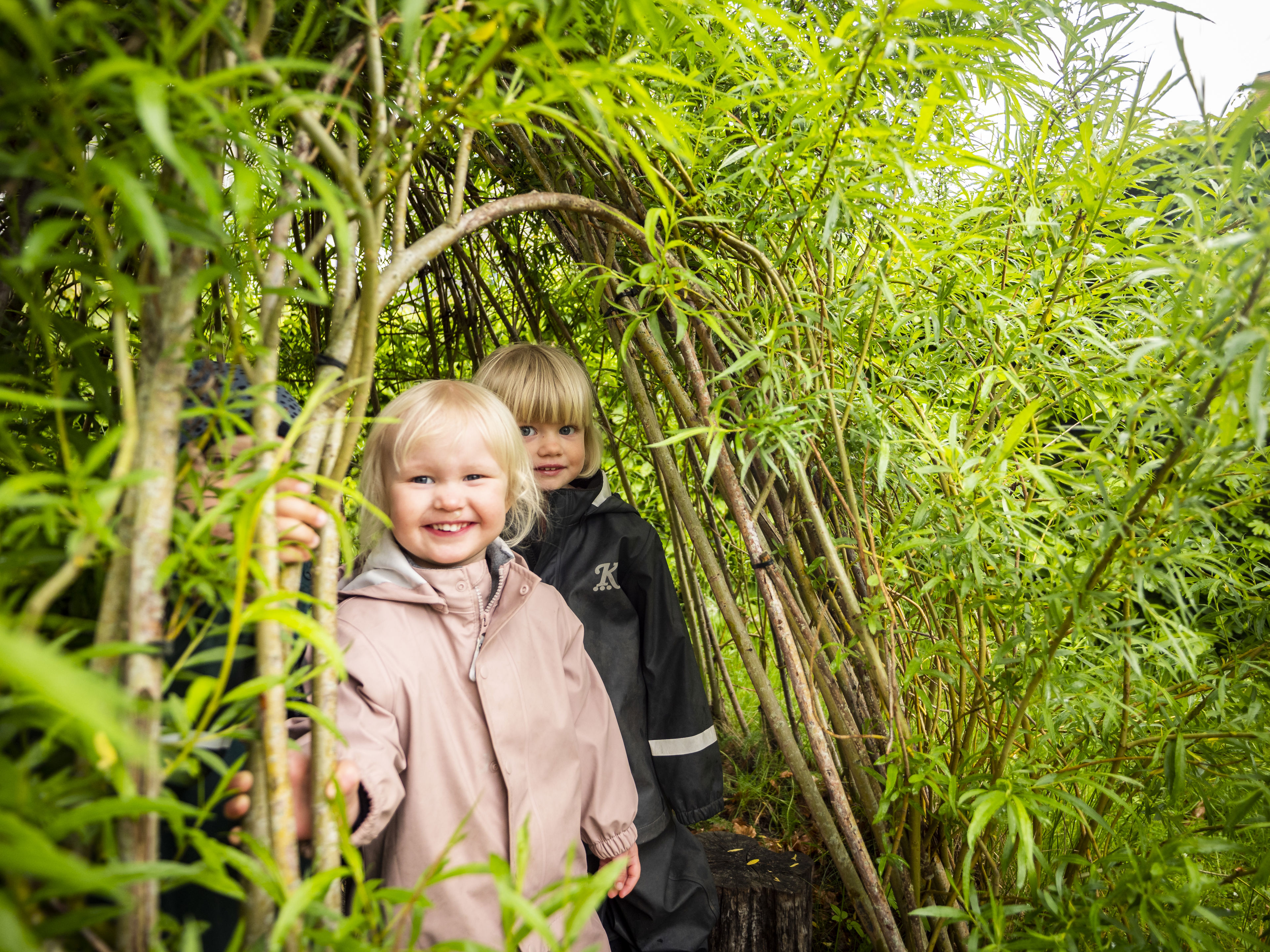 Børn i dagtilbuddet Nova
