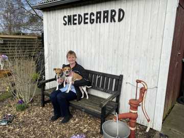 HELLE SMEDEGAARD PÅ SIN TÆNKEBÆNK MED HUNDENE RITA OG NIMBUS