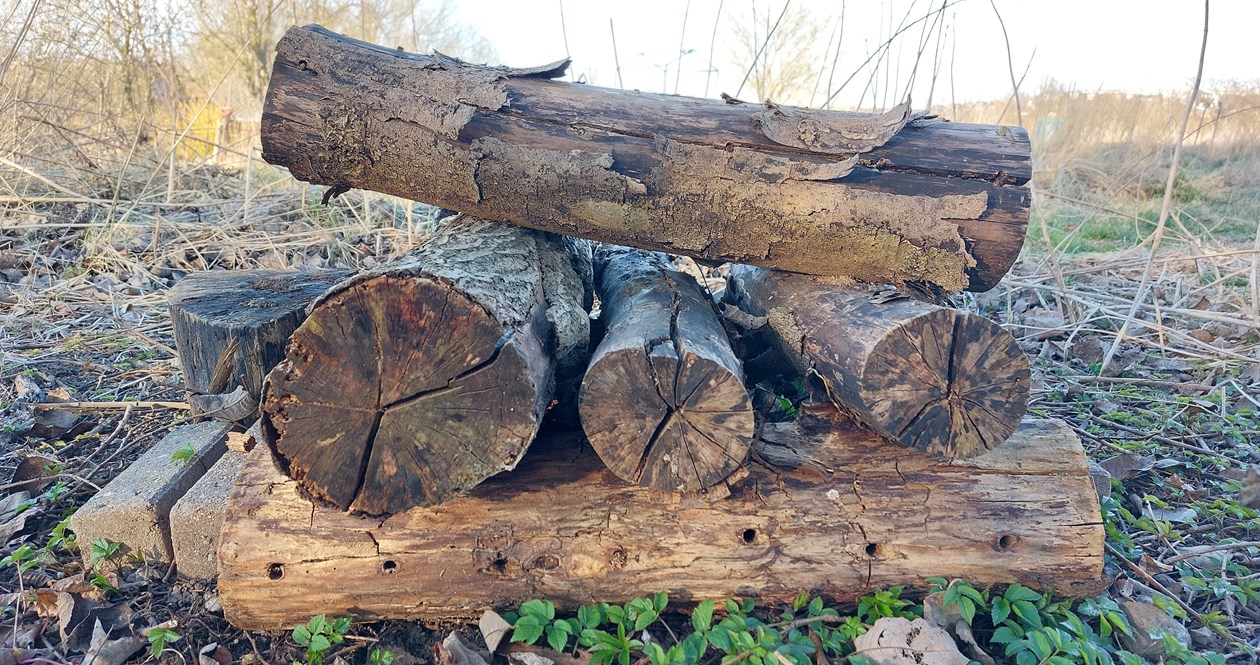 Stablede stykker træ, med borede huller til insekter.