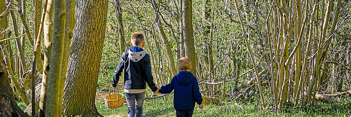 Naturperler i Roskilde Kommune