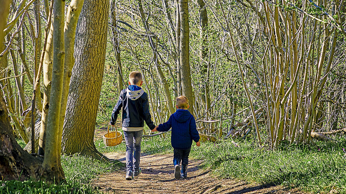 Naturperler i Roskilde Kommune