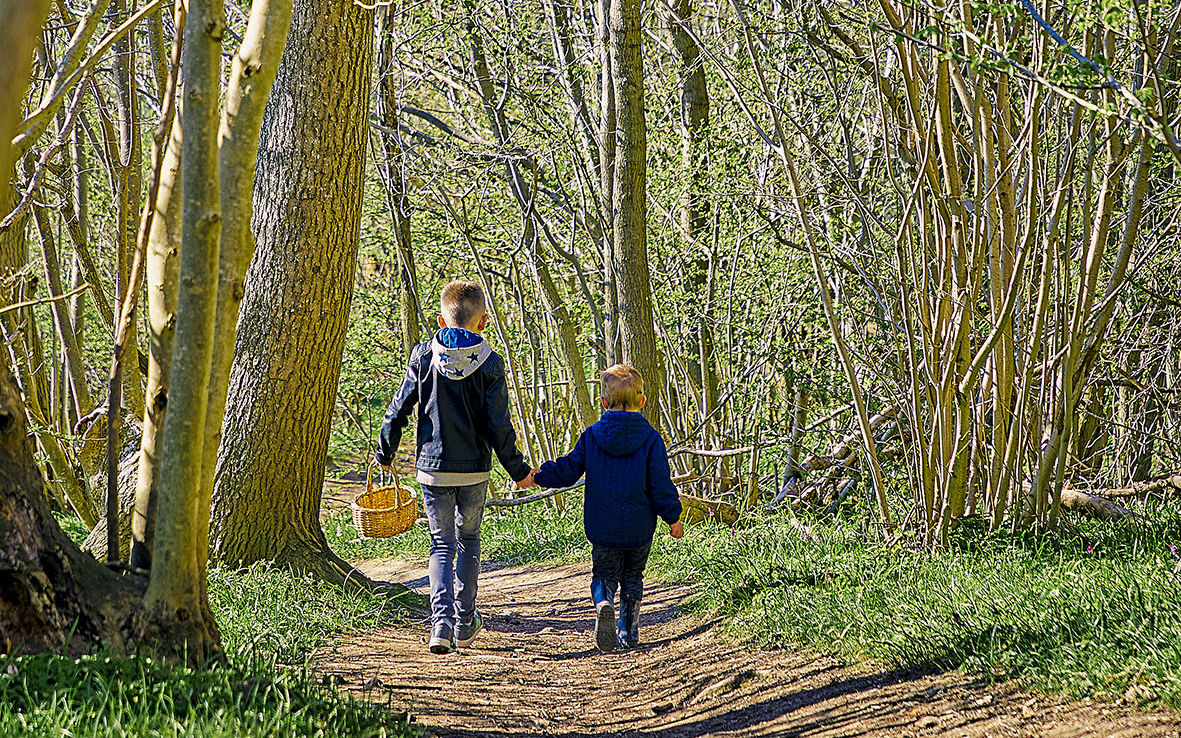 Naturperler i Roskilde Kommune