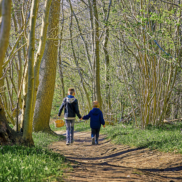 Naturperler i Roskilde Kommune