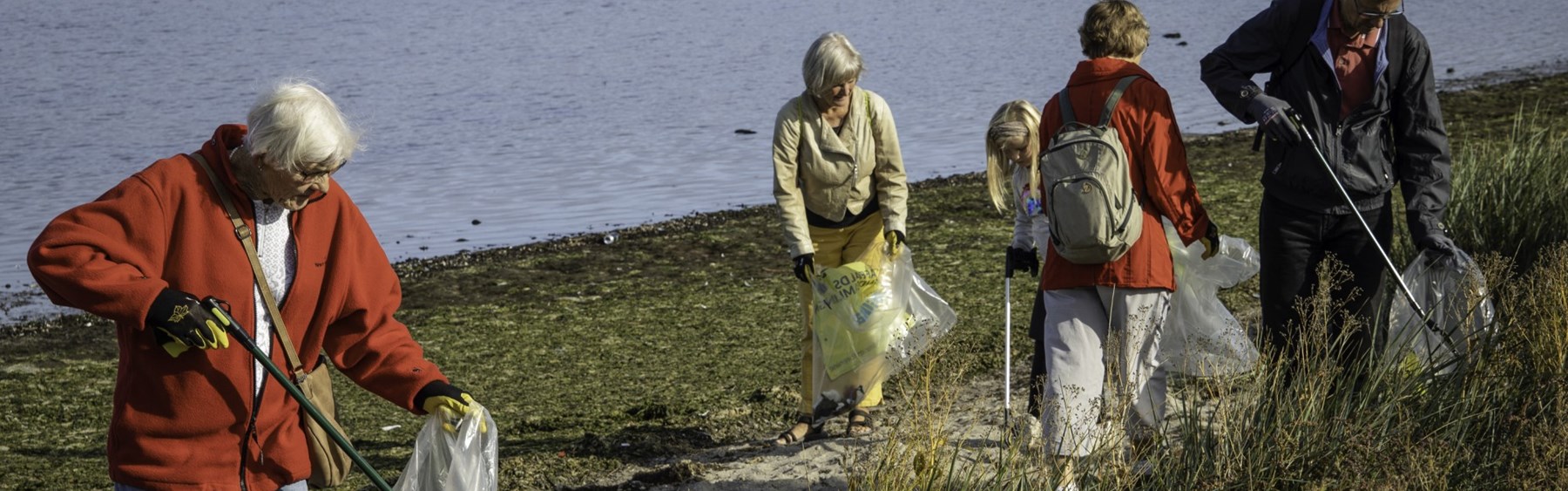 En gruppe mennesker samler affald langs Roskilde Fjord