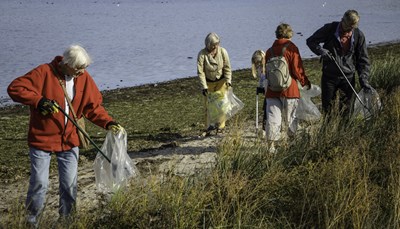 En gruppe mennesker samler affald langs Roskilde Fjord