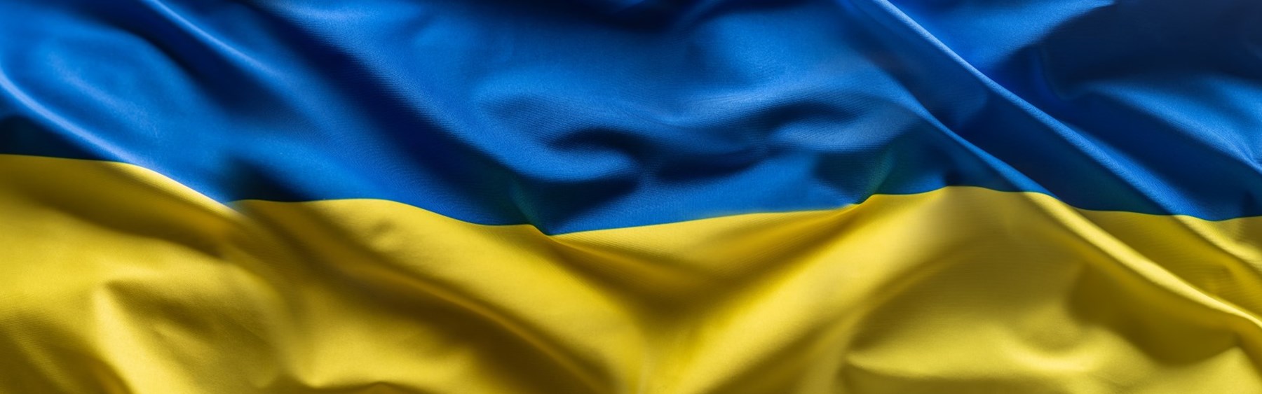 Etårsdagen for Ruslands invasion i Ukraine markeres.