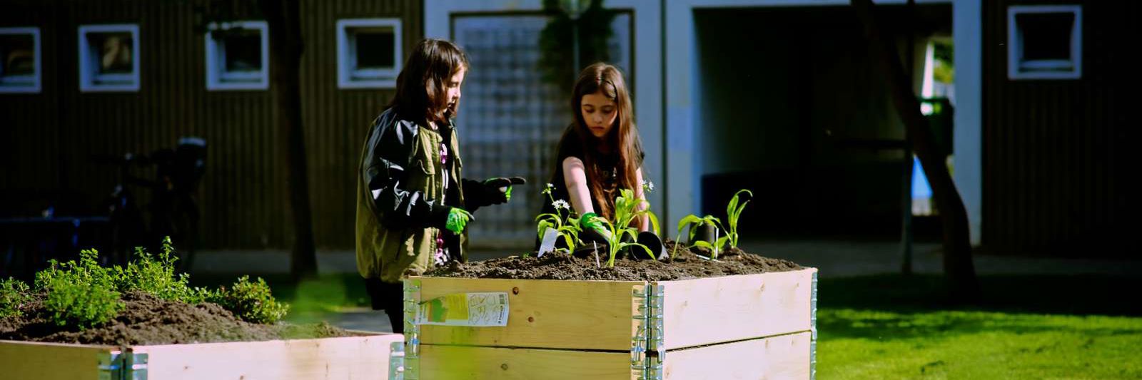 Nyttehave Rønnebærparken