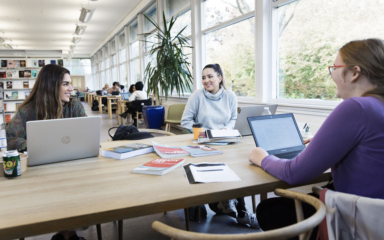 En gruppe studerende på biblioteket