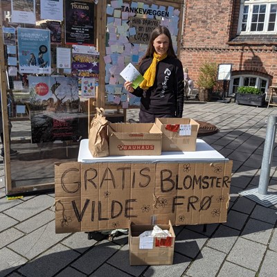 Frivillige fra UngEnergi Roskilde deler vilde blomsterfrø ud på Stændertorvet. 