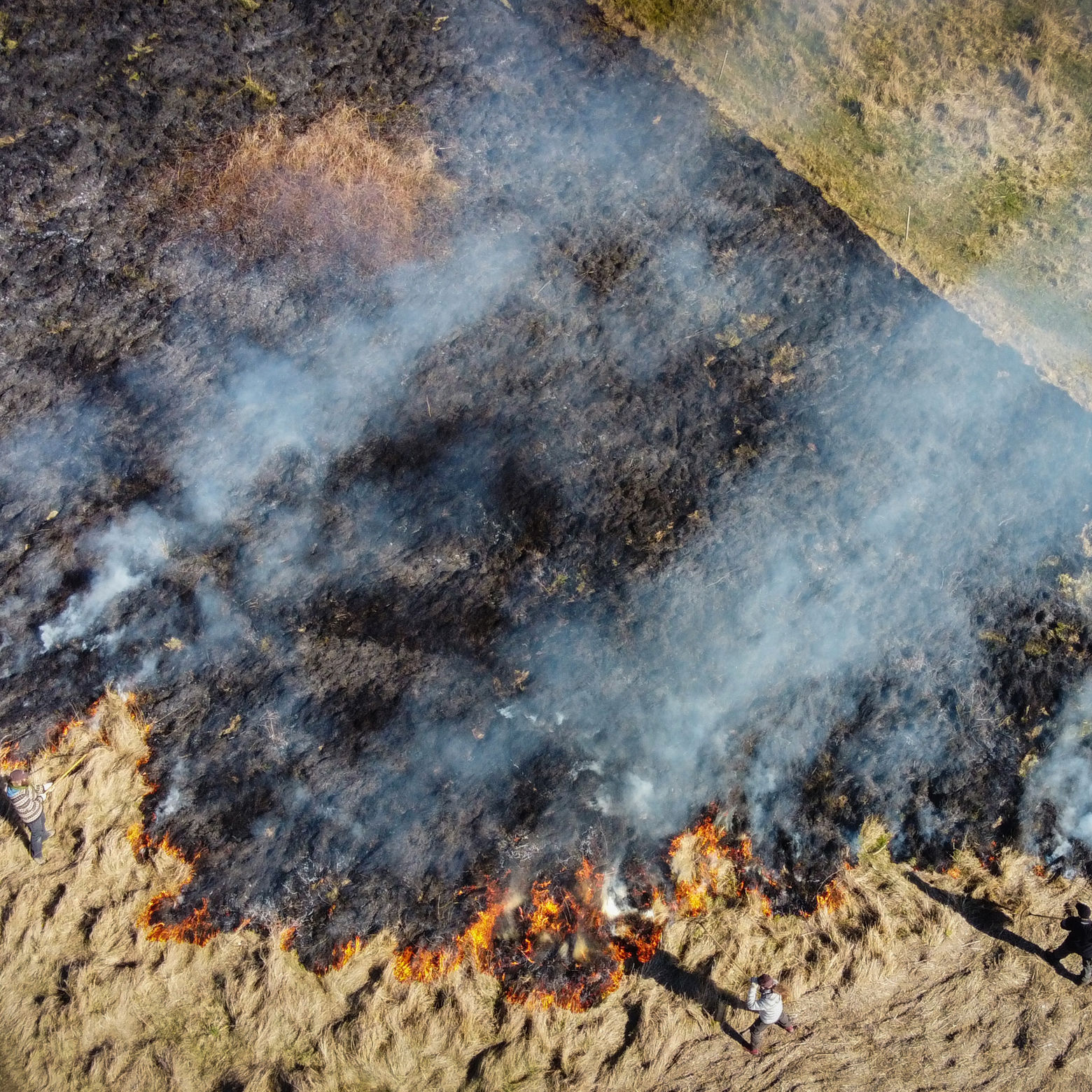 Det tykke lag førne på det første stykke eng er ved at være brændt af.
