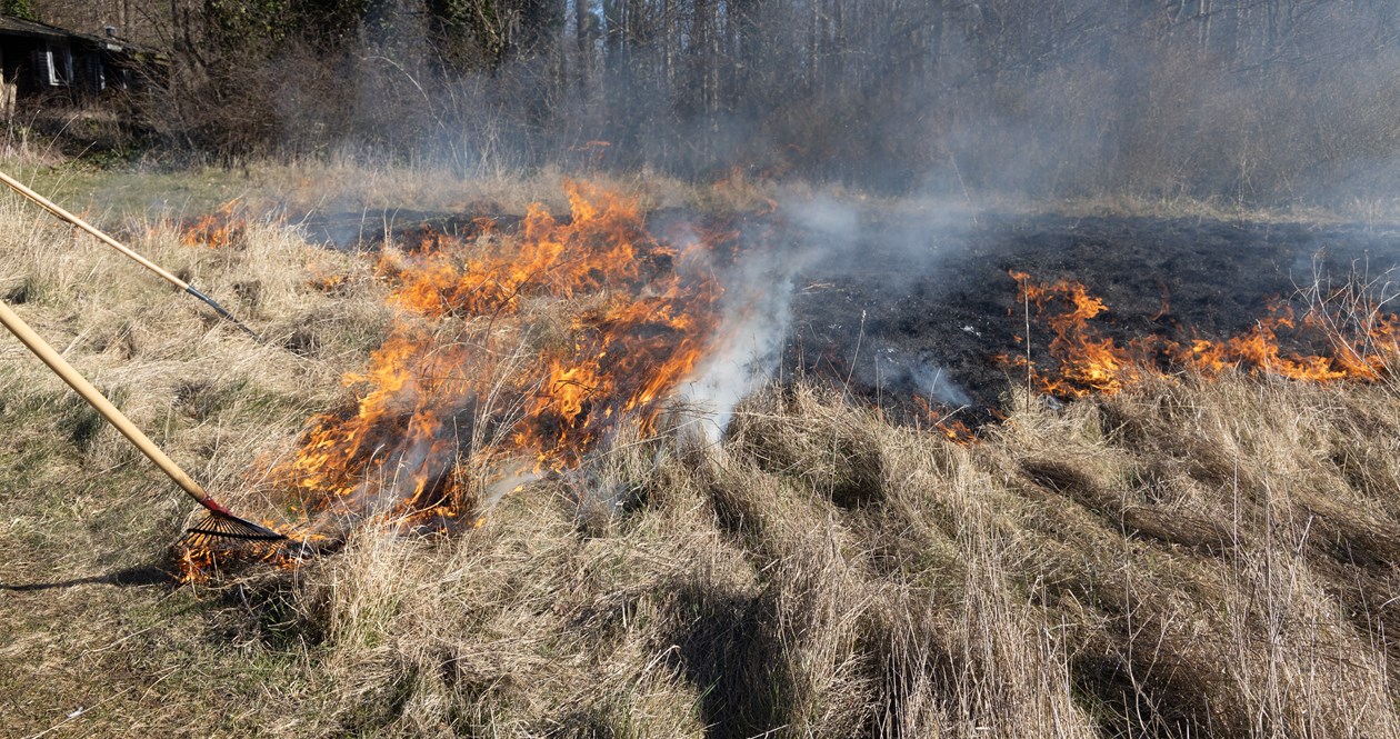 Vissent græs hen på foråret, har ikke en særlig høj brændværdi - derfor skal ilden hjælpes på vej. 