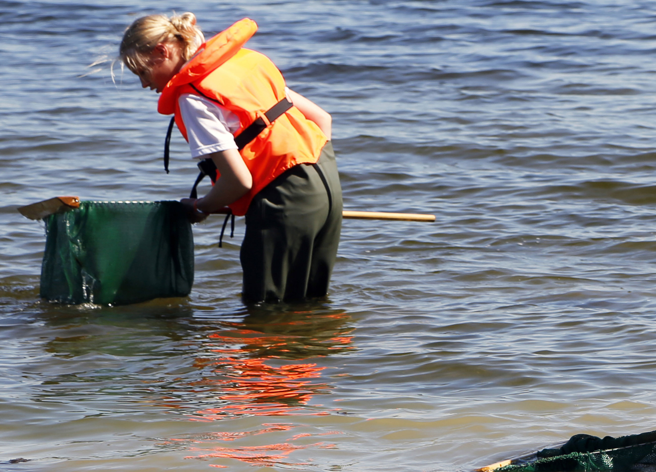 Tre elever med waders fisker med ketsjer i fjorden