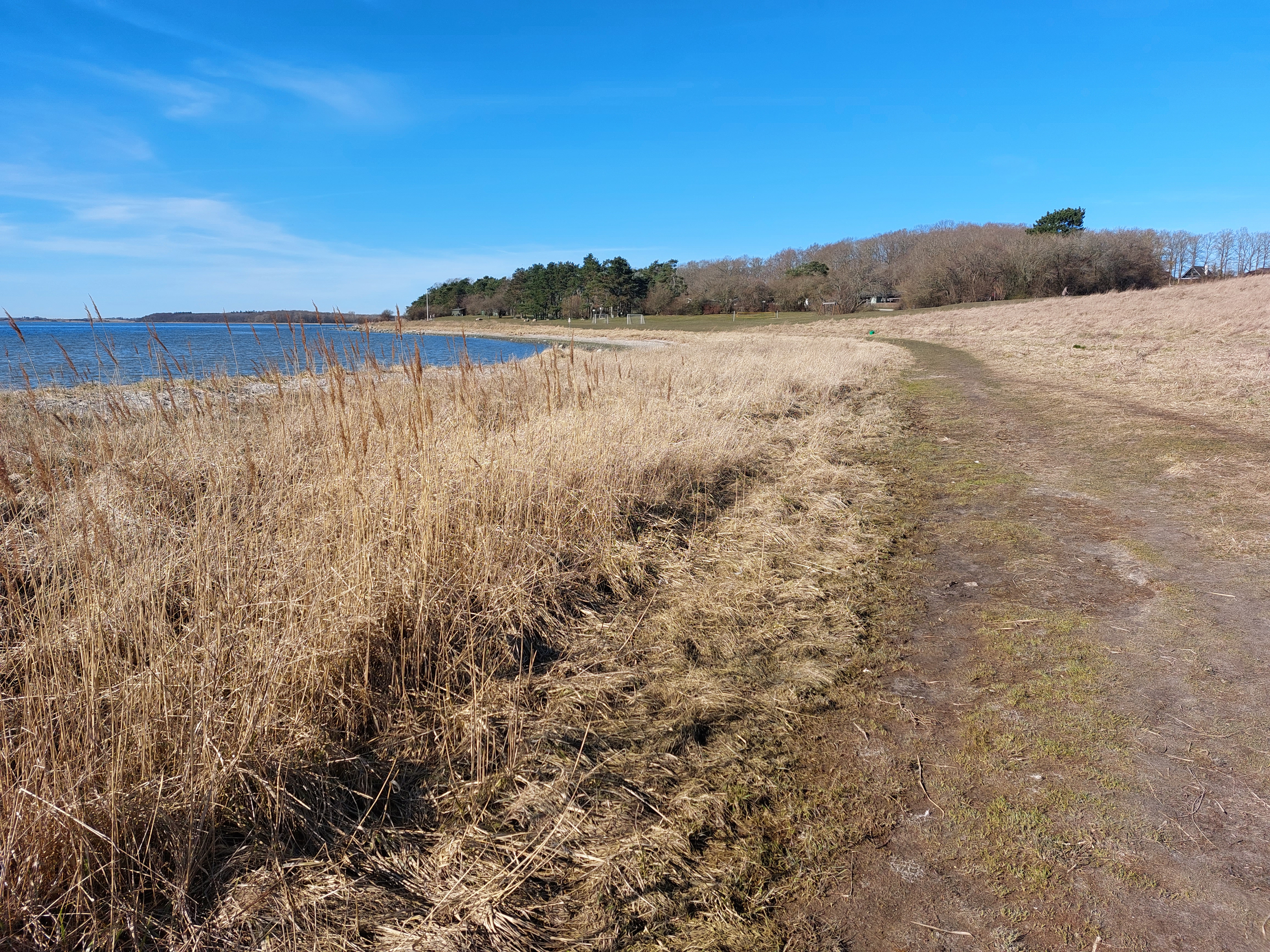 Strandbreden før afbrænding.