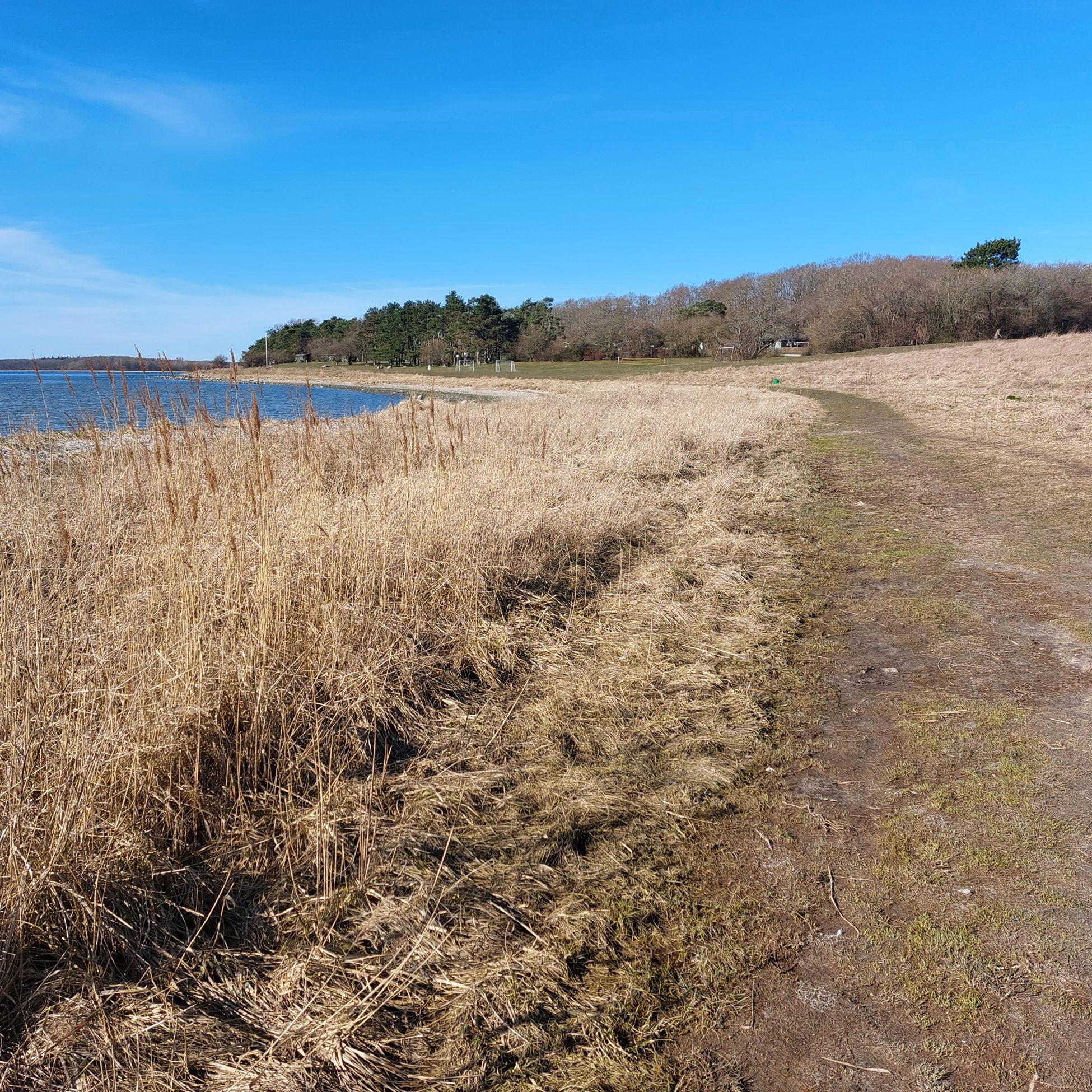 Strandbreden før afbrænding.