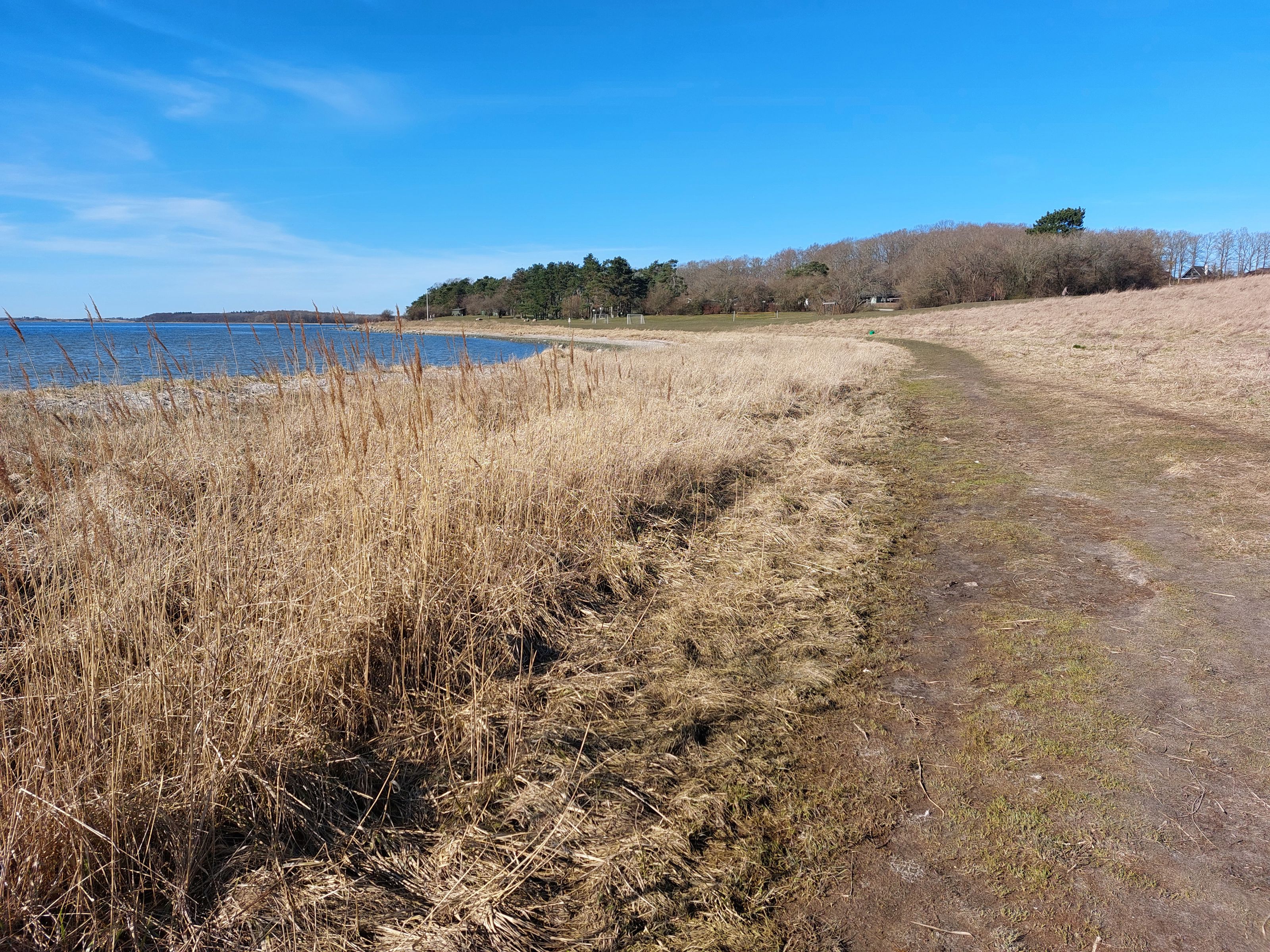 Strandbreden før afbrænding.