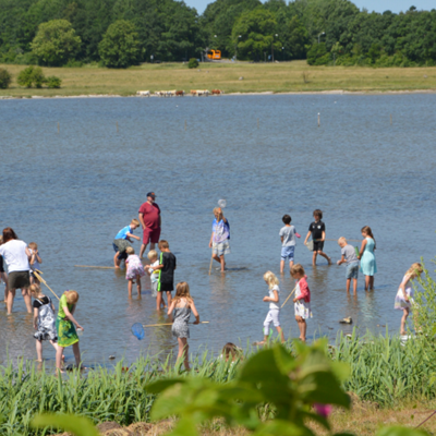 Børn fisker i sø.