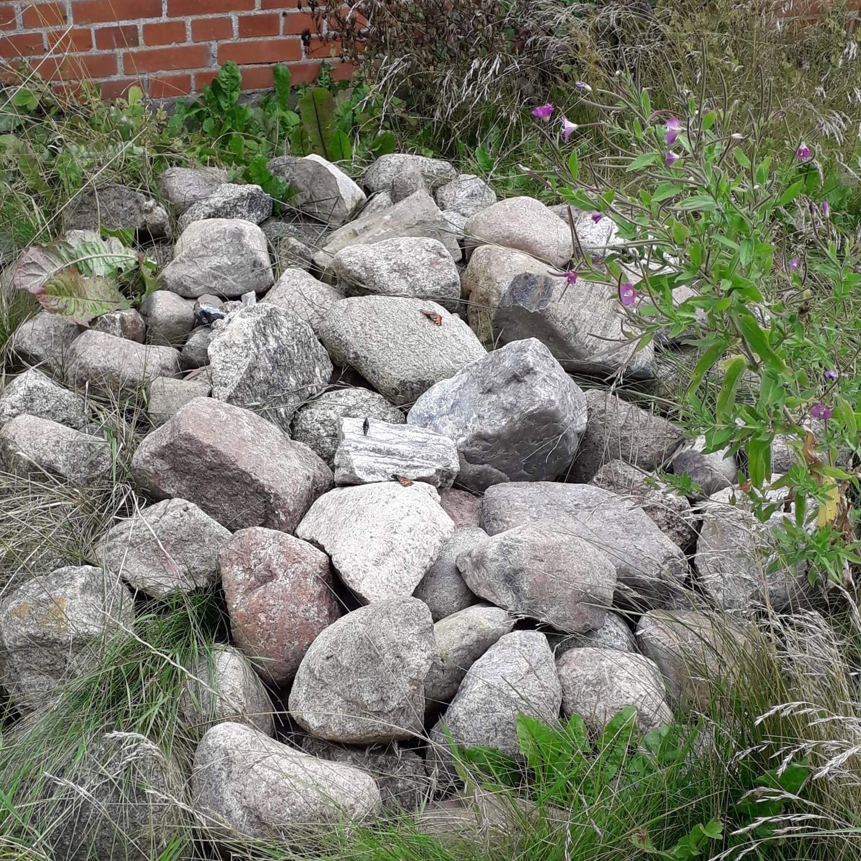 Det er en rigtig god ide, at have stendynger i haven, og helst et sted, hvor solen tidligt rammer stenene og opvarmer dem.