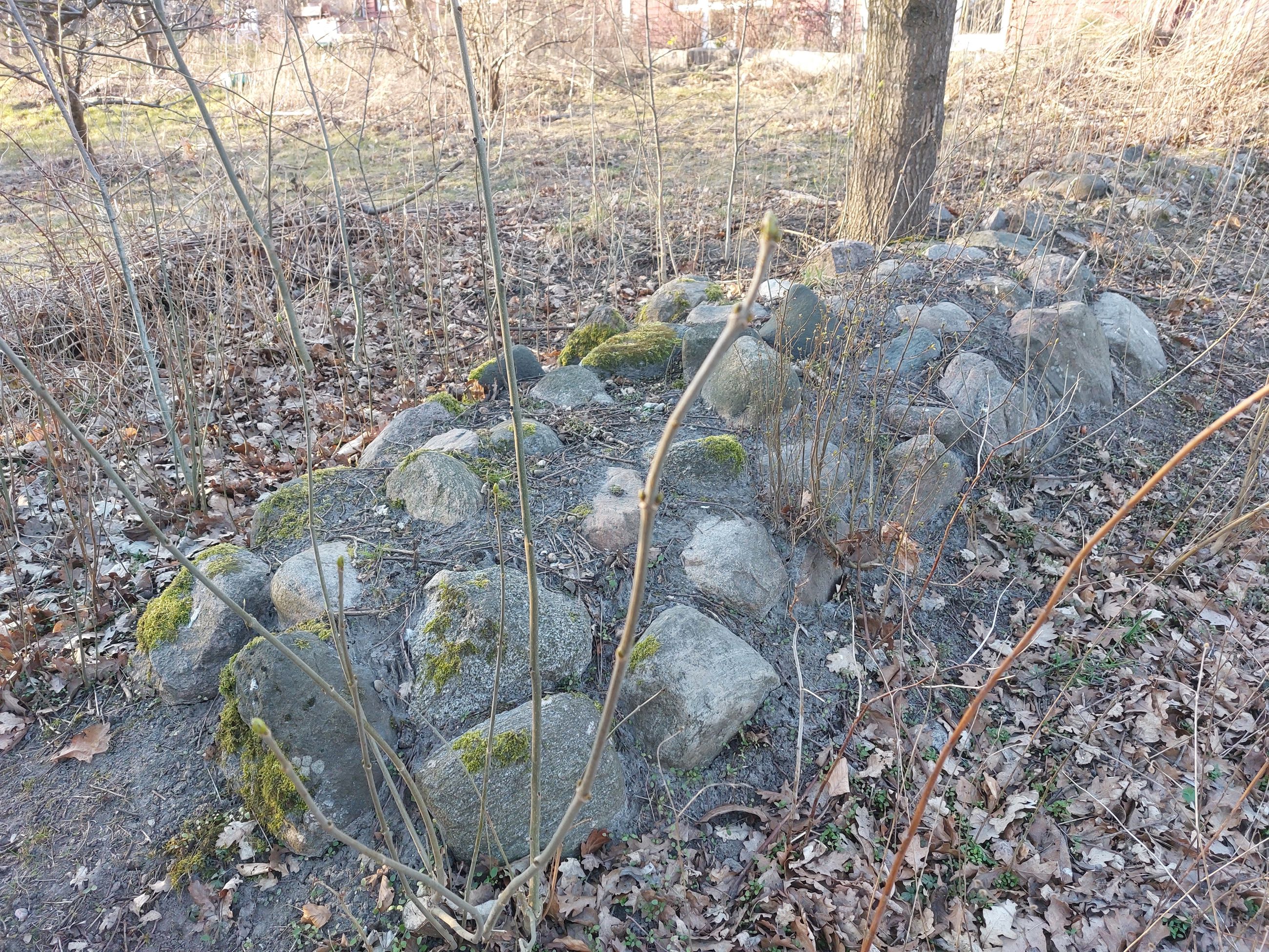Udover stendigers gavnlige effekt på biodiversiteten, er de også en smuk måde at indramme forskellige zoner i haven på.