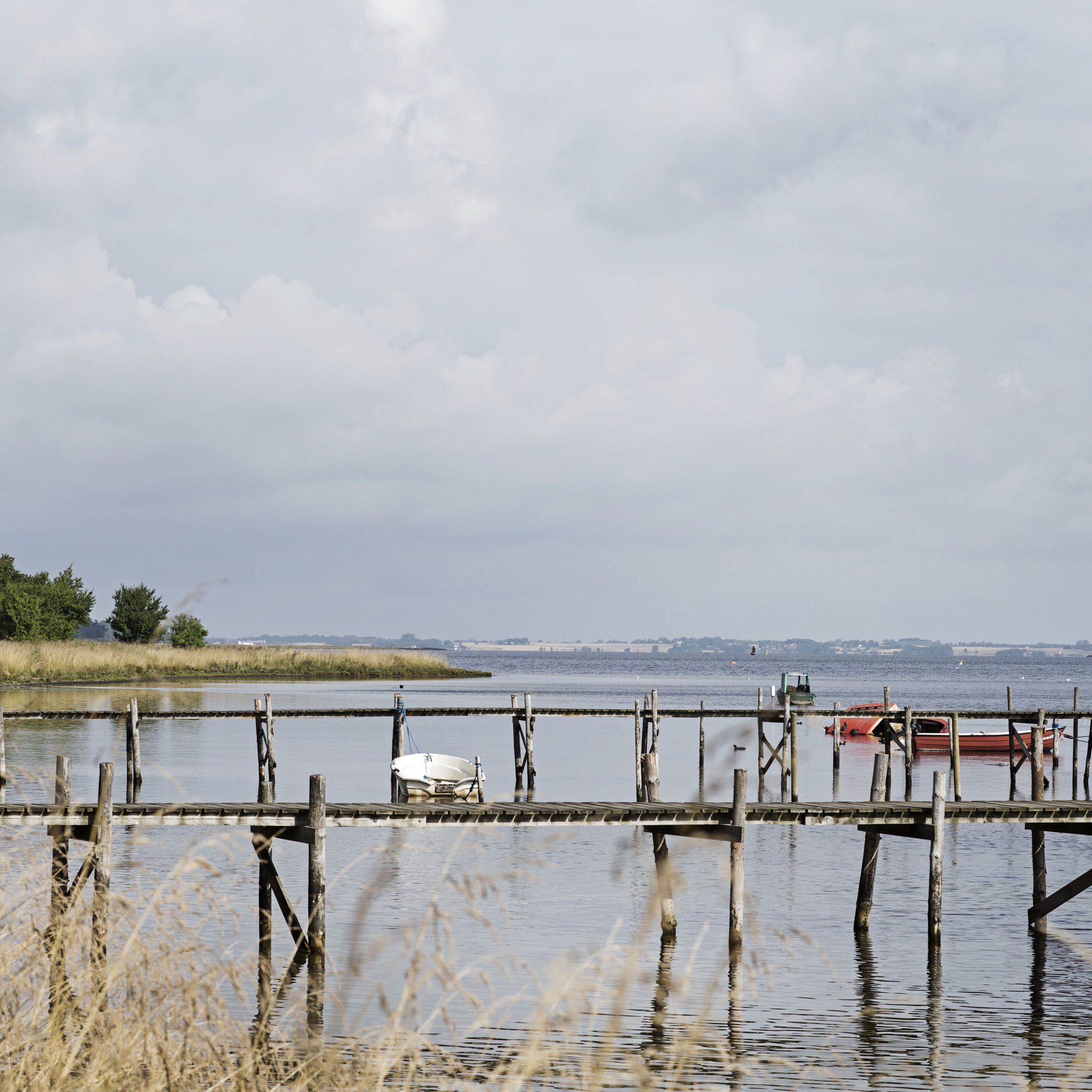 Veddelev
