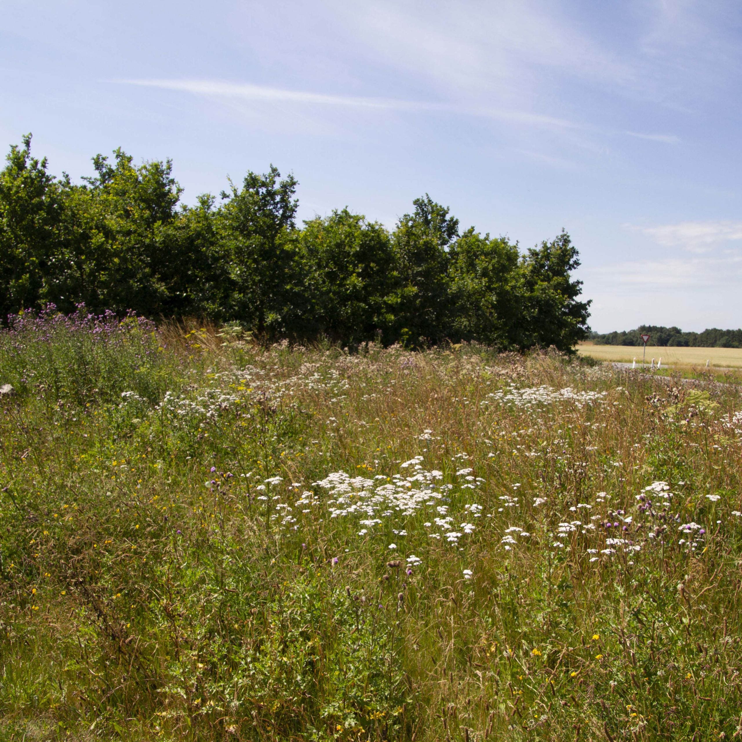 Vibyvejen.