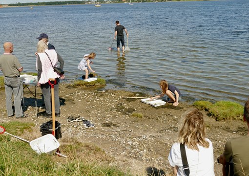 Aktiviteter ved fjorden med Roskilde Oplevelseshavn