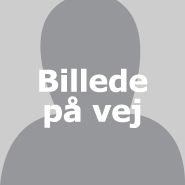 Viser, at der er et foto på vej.
