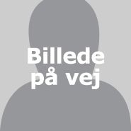 Viser, at der er et foto på vej.