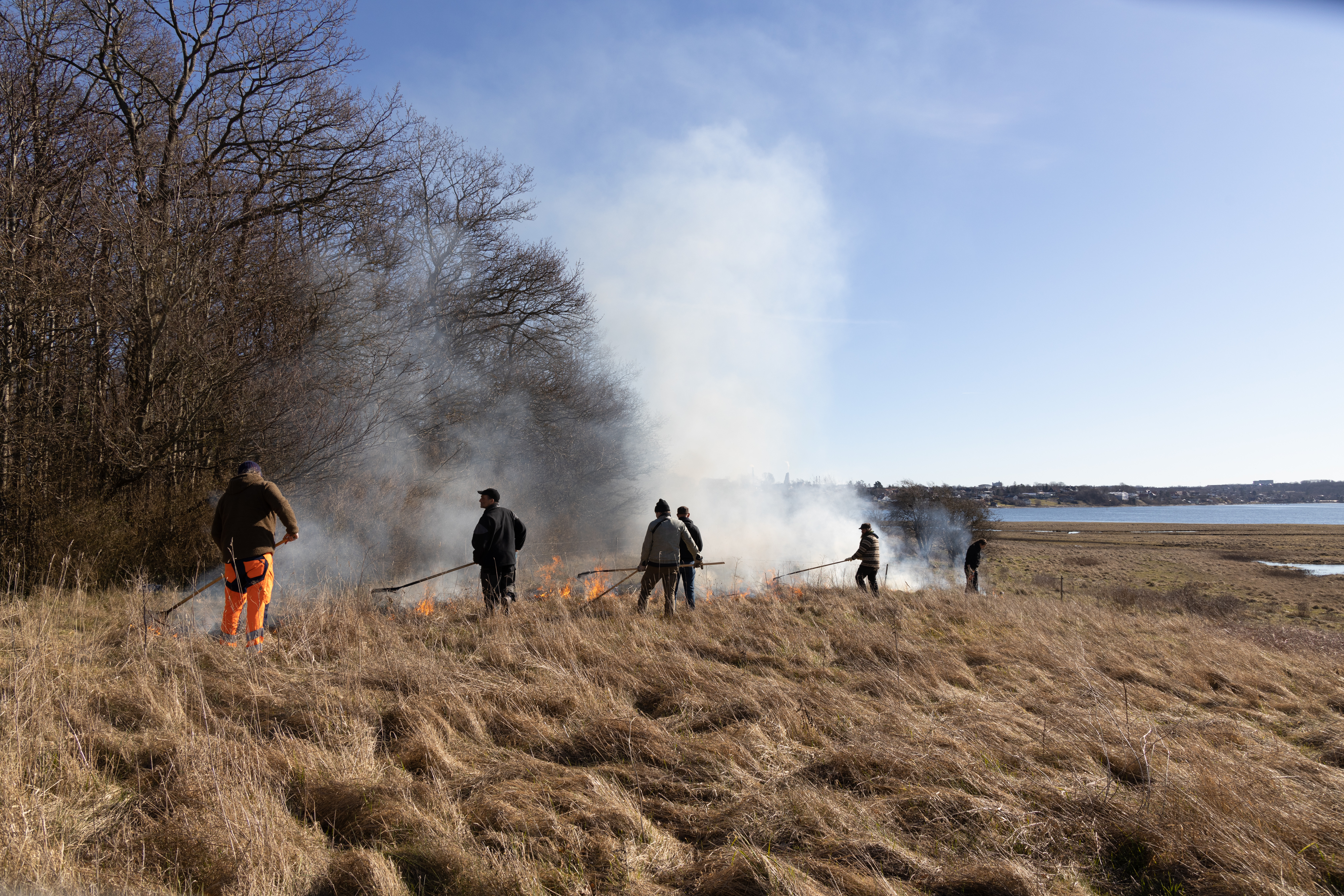 Den kontrollerede afbrænding sættes i gang - frivillige og ansatte hos kommunen hjælper til. 