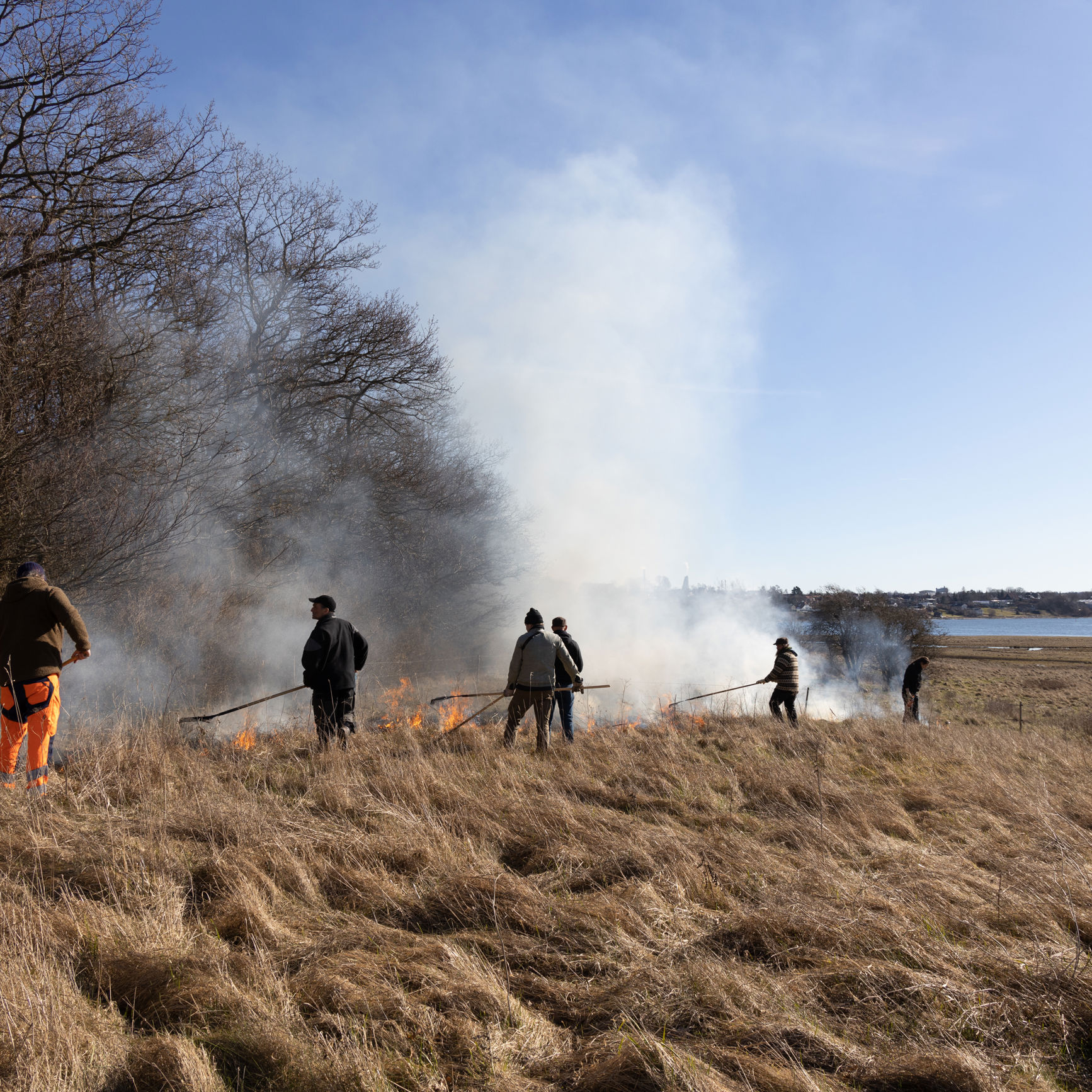 Den kontrollerede afbrænding sættes i gang - frivillige og ansatte hos kommunen hjælper til.