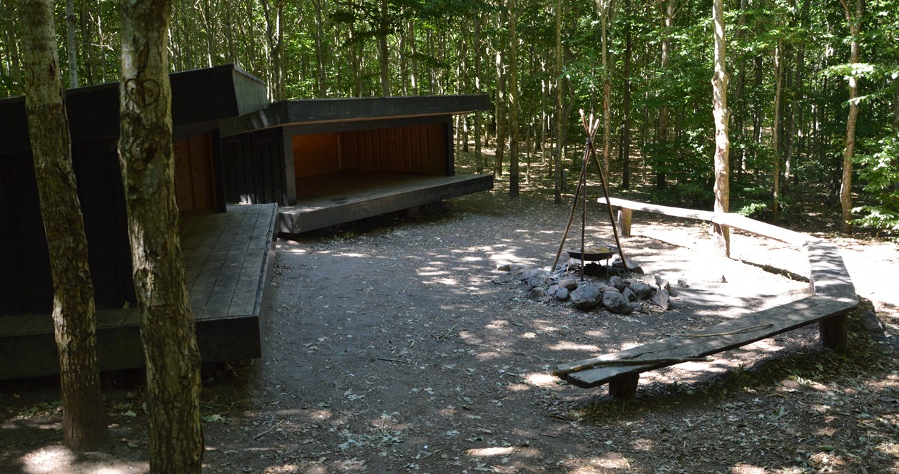Shelterpladsen i Gulddysse Skov. 
