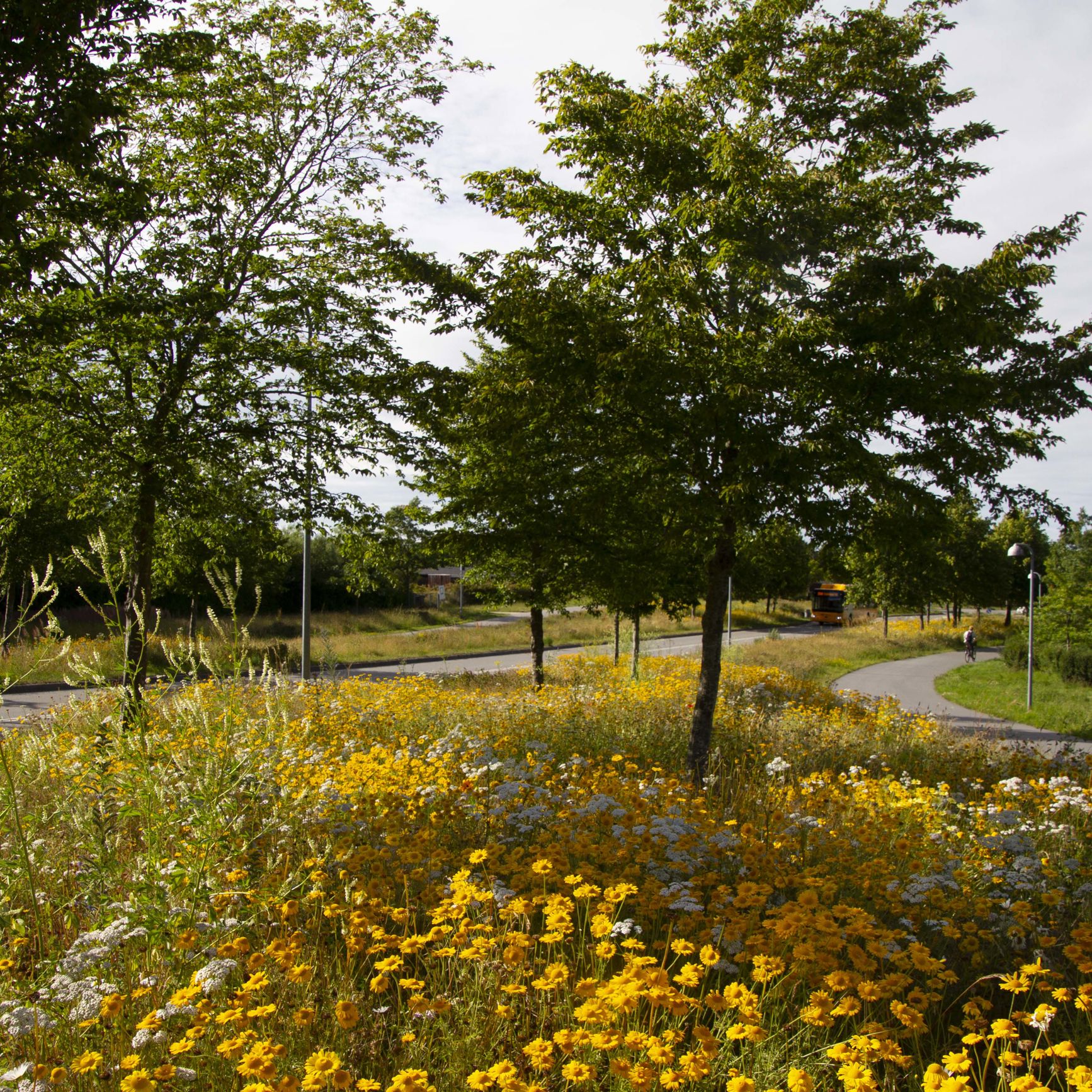 Nordens Parkvej i sommeren 2022.
