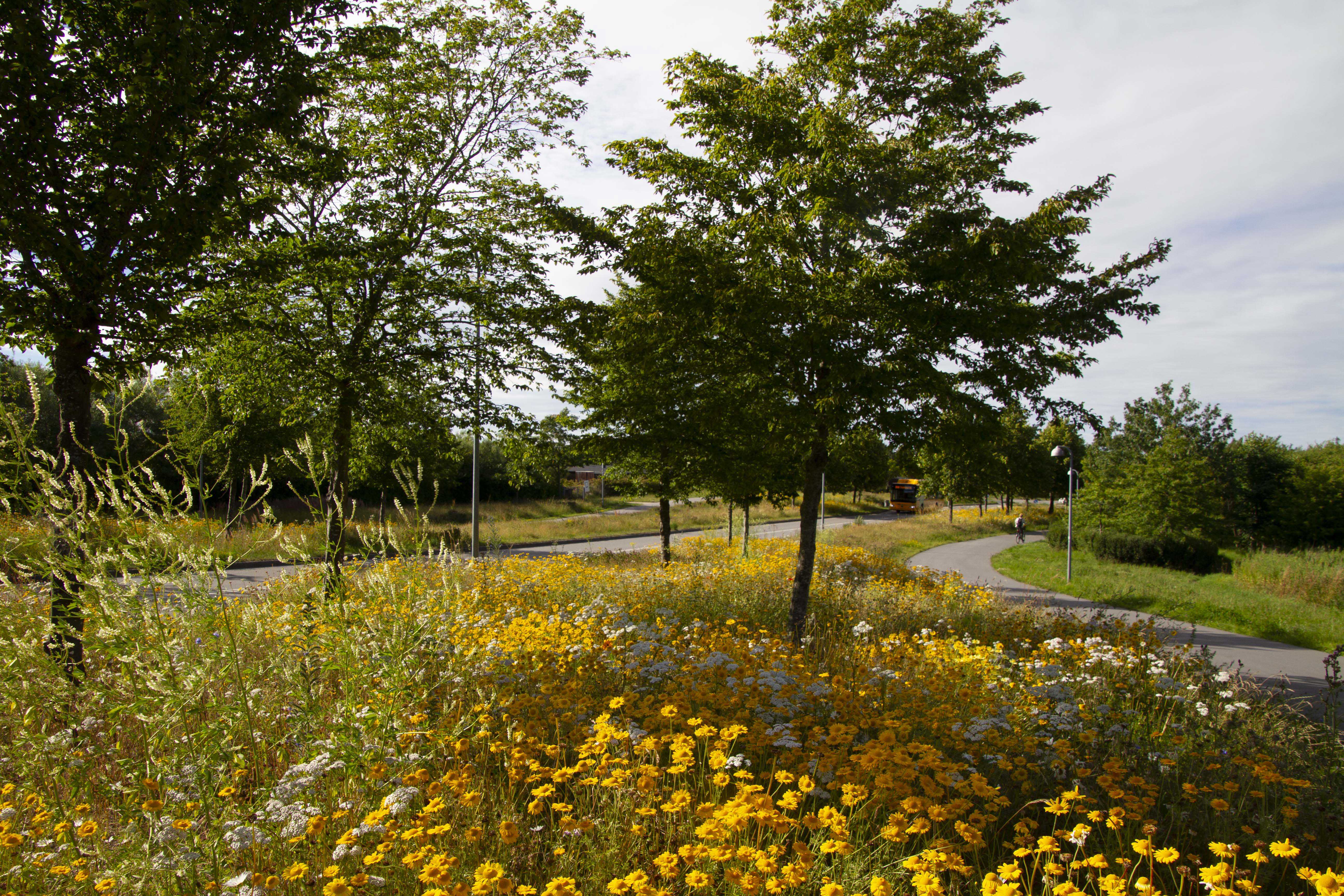 Nordens Parkvej i sommeren 2022.