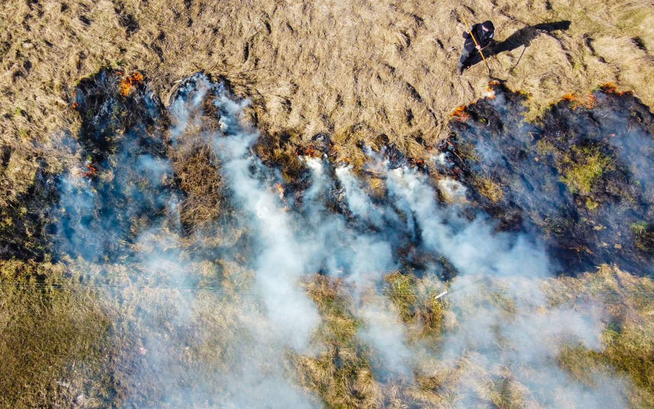 Kontrolleret afbrænding af førne ved Vigen Strandpark