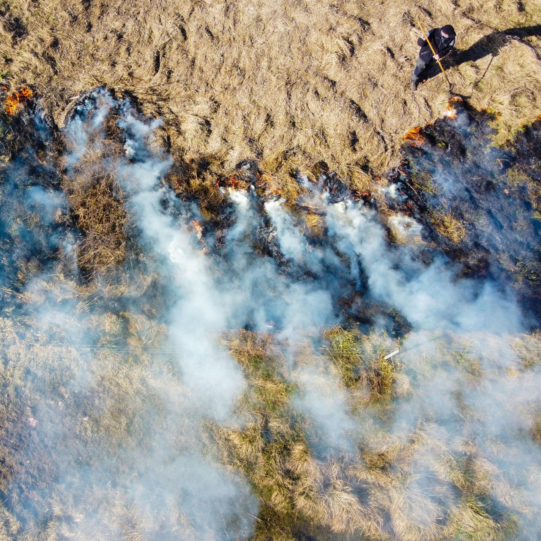 Kontrolleret afbrænding af førne ved Vigen Strandpark