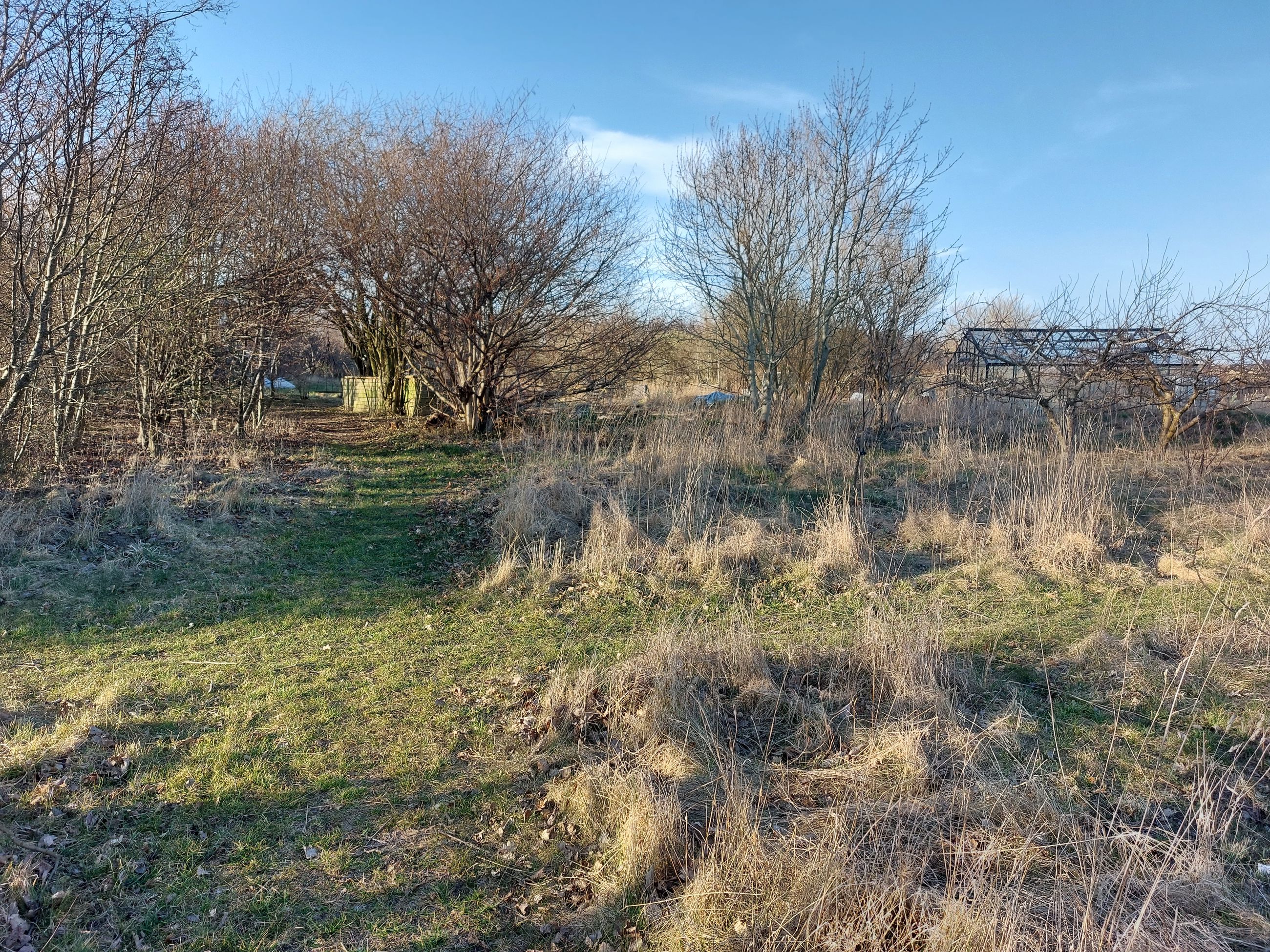 For at skabe en vild have med masser af liv, er det vigtigt at se på forholdene i din have og tilpasse dig dem.