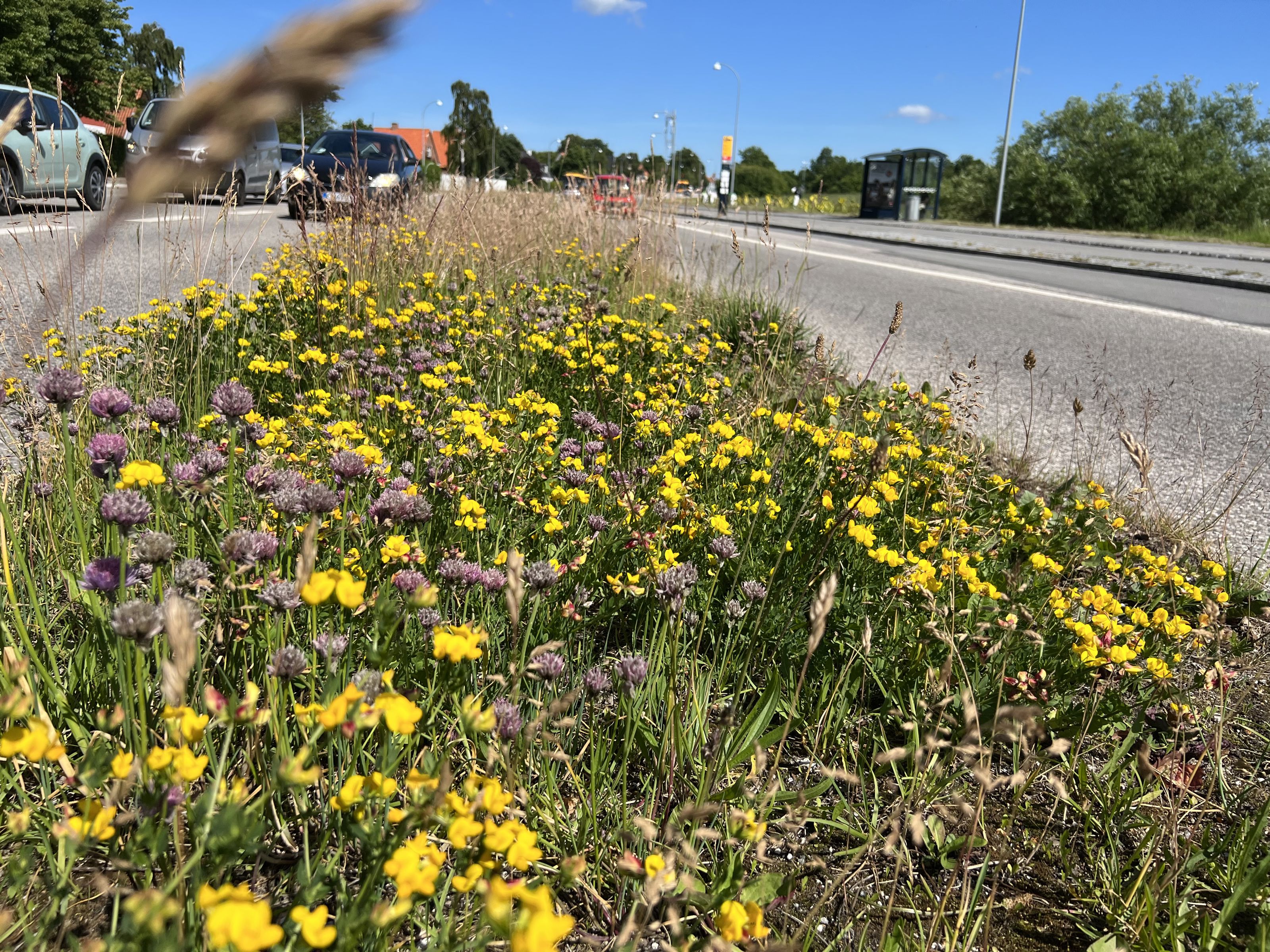 Holbækvej.