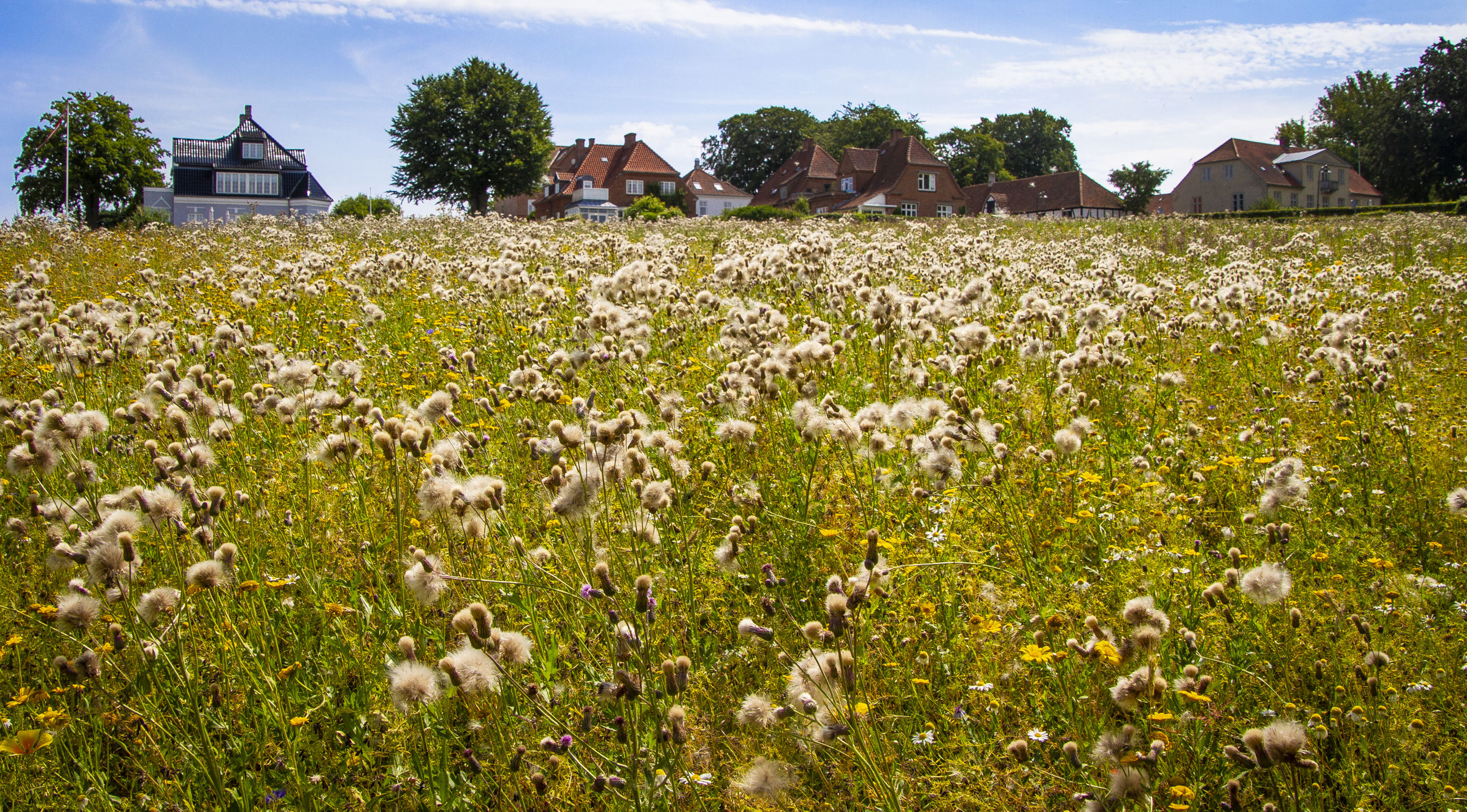 Biodiversitetspuljen