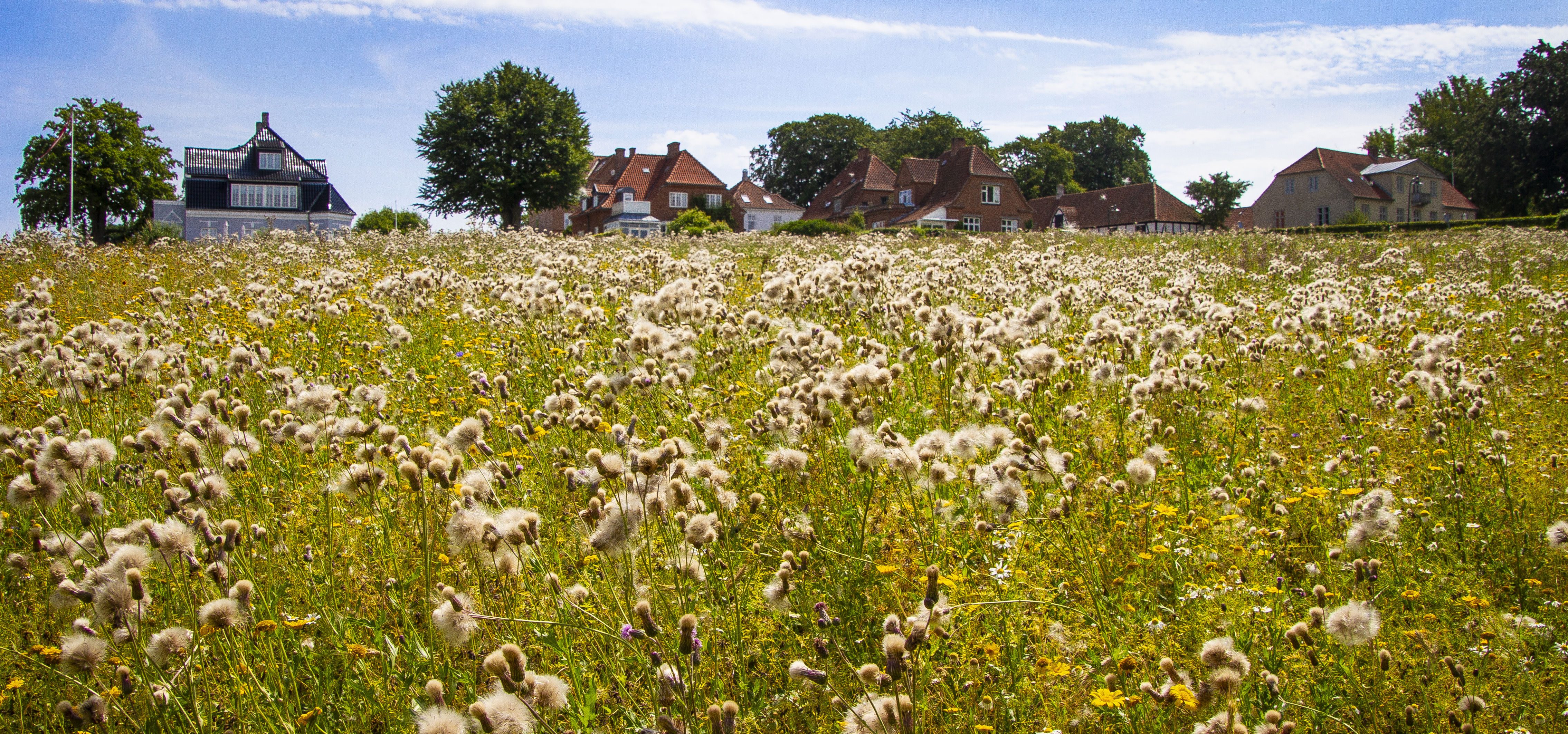 Biodiversitetspuljen
