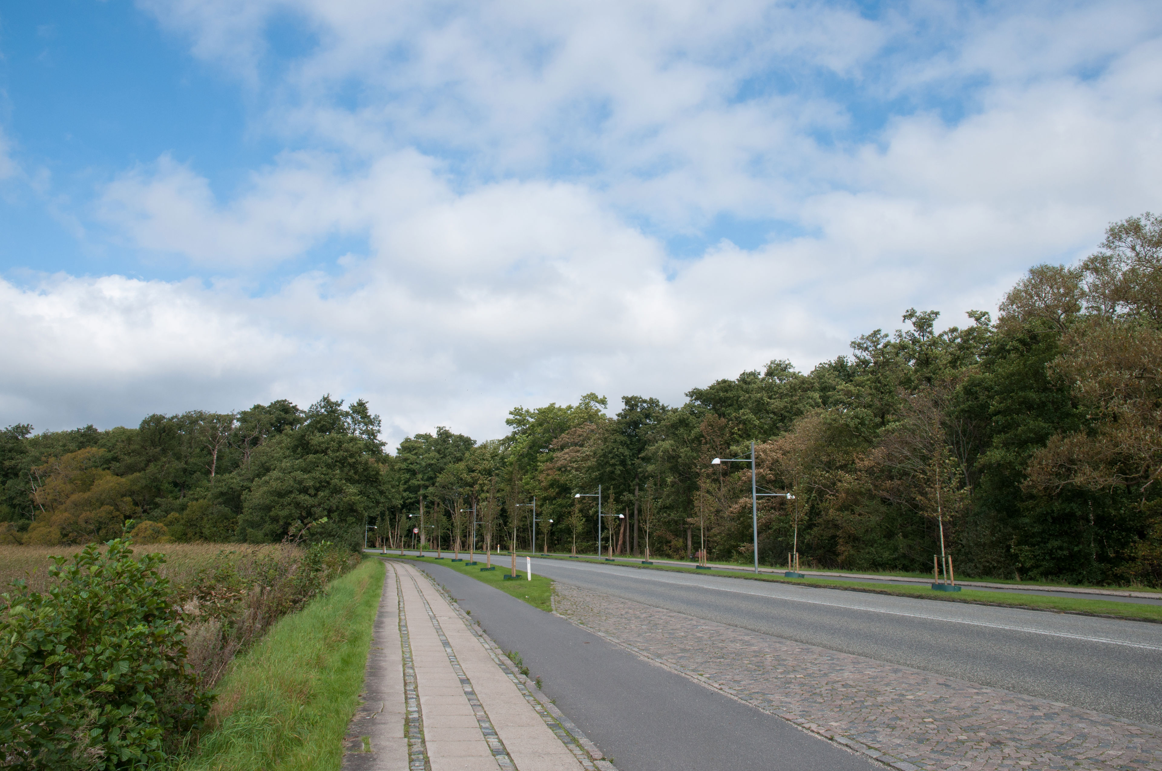 Skade på vej